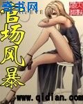 官场风暴