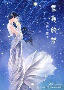 雪夜的梦